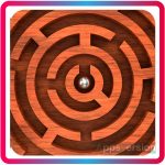 Smart Puzzles Collection APK